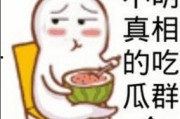 吃瓜表情的意思解释,网络社交中的幽默与讽刺